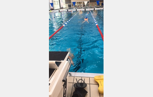Championnats départementaux natation