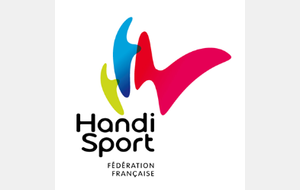 Organisation groupe Handinage.