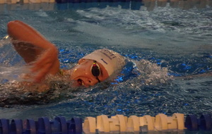 5c1107dc4e408_DSC00187.JPG
