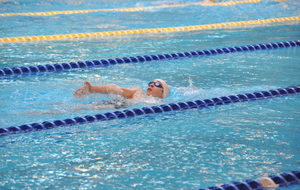 5c5c5aaf6d1df_DSC0106.JPG
