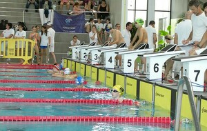 648164e26cc33_3472520415580996331611551236097242415865235n.jpg