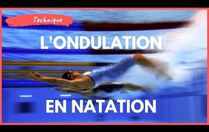 Ondulation natation : Comment y arriver ?
