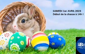 Chasse aux oeufs "nager comme un Gaillard"