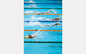 Championnats de France Maîtres de natation en eau libre