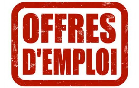 Offre d'emploi Natation artistique - saison 2021/2022