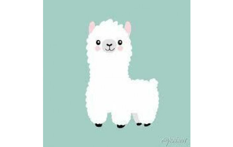 Visite à la ferme des lamas