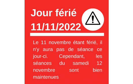 Séances des 11 et 12 novembre 2022